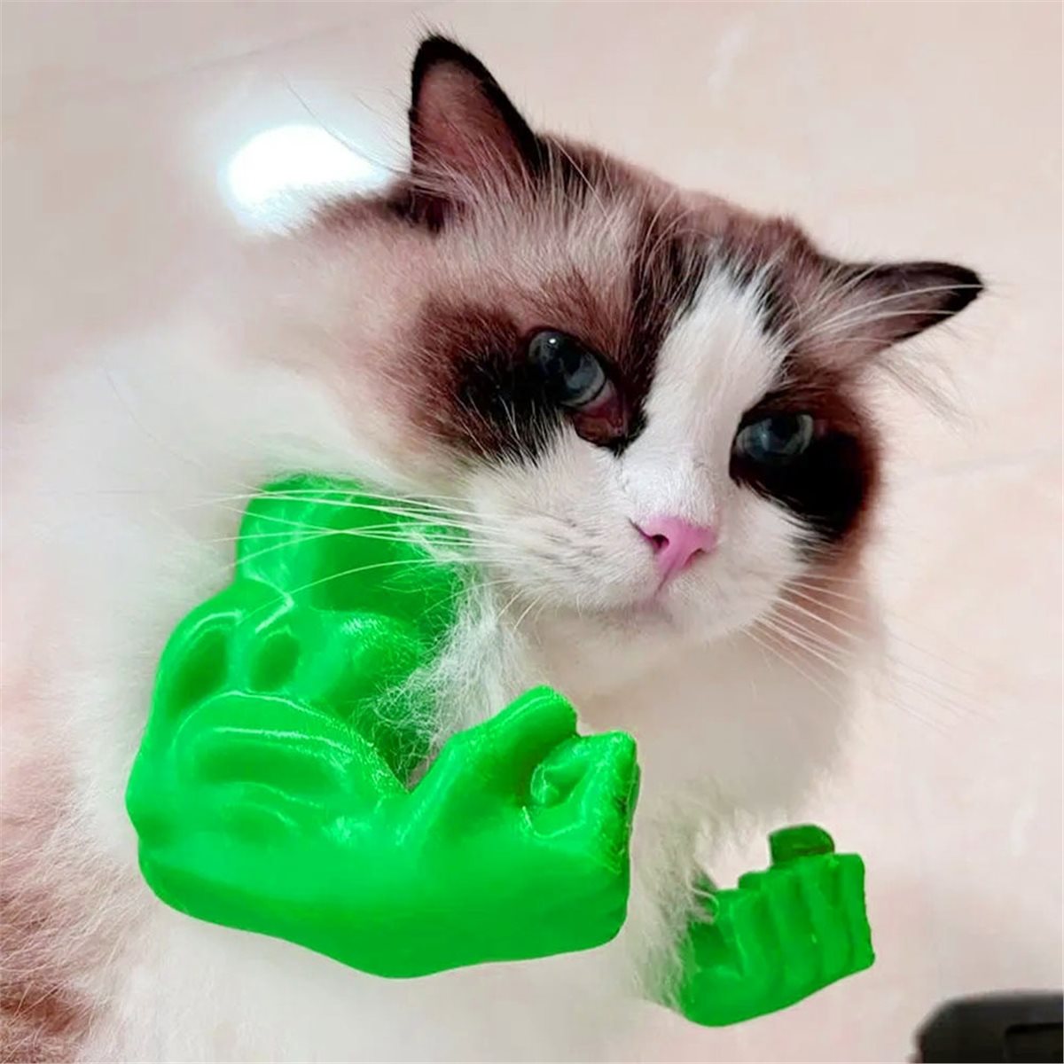 NEWCat Muscle Arm Pendant Pet  - Dolls ulasan dan harga