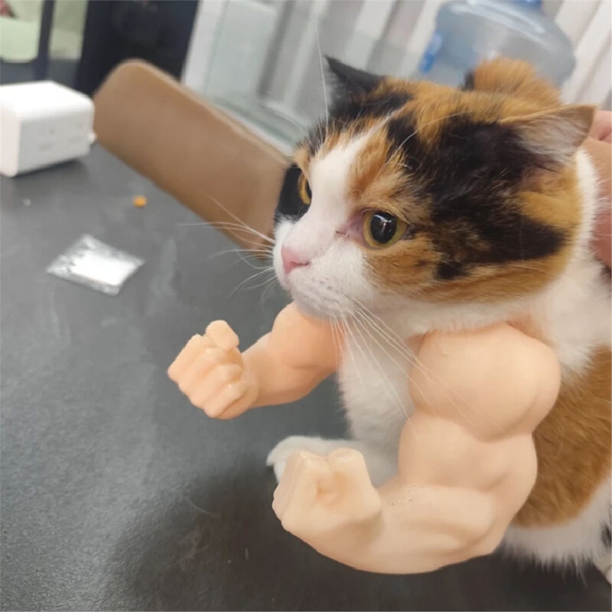 NEWCat Muscle Arm Pendant Pet  - Dolls ulasan dan harga