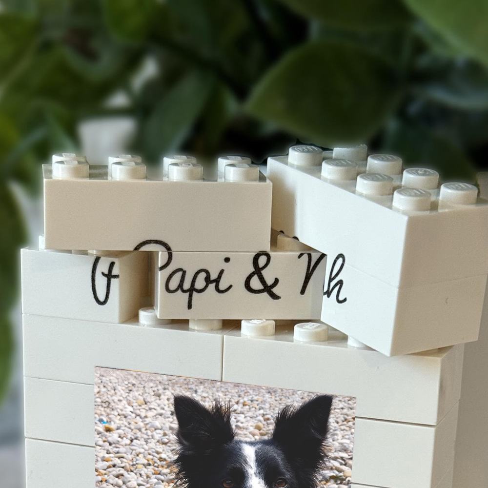 1PC Custom Pet Building Blocks - Building Blocks ulasan dan harga